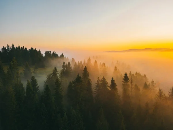 Величественный весенний закат в горах landscape.Sunset с солнечными буками. Карпаты — стоковое фото