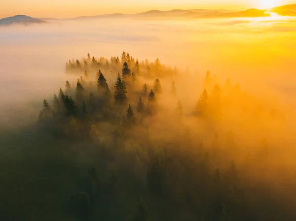 Туманный горно-лесной ландшафт утром — стоковое фото