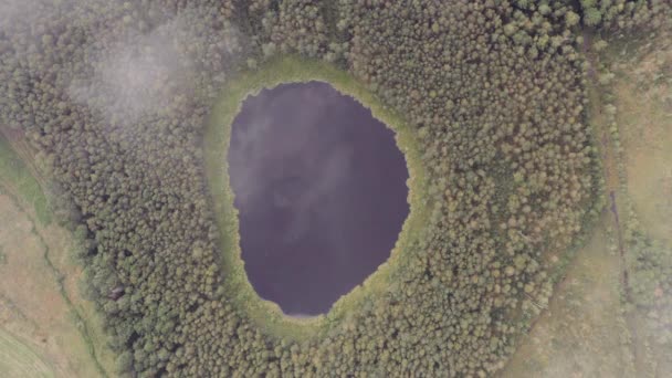 Górny widok lotu lotniczego w chmurach nad małym jeziorem o okrągłym kształcie. Poruszająca się w górę, czysta turkusowa woda stawu otoczona jesiennym lasem. — Wideo stockowe