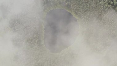 Sonbahar ormanlarındaki yuvarlak gölet havası. Bulutların arasında uçuyor. Sis.