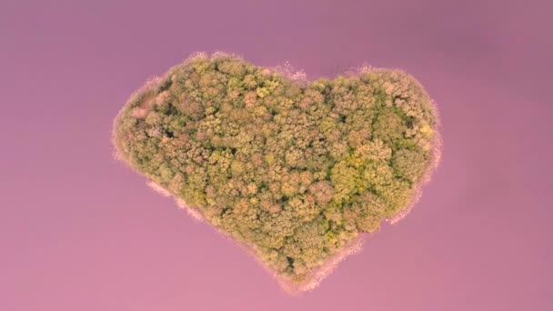 Aerial view over an island. The island is formed as a green heart. Surrounded by water. The water is rose and the vegetation is green. — Stock Video