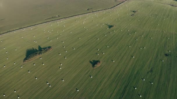 Vista aérea de uma paisagem rural com campo verde fresco e fardos de feno seco durante a colheita. Atingido. Vista superior das linhas de trilhas em terras agrícolas, conceito de agricultura. — Vídeo de Stock