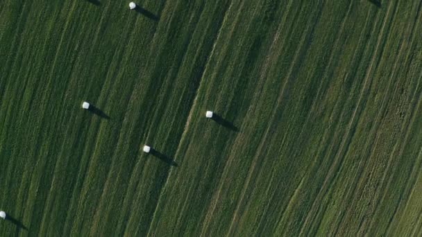 Flygfoto över ett landsbygdslandskap med färskt grönt fält och torra höbalar under skörden. Skjuten. — Stockvideo