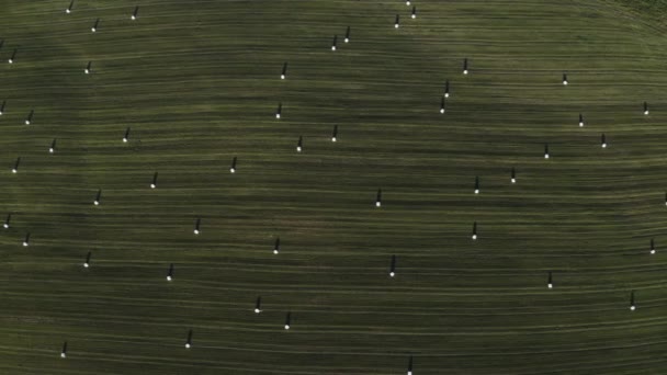 Αεροφωτογραφία τοπίου με φρέσκο πράσινο χωράφι και ξηρές μπάλες σανού κατά τη διάρκεια της συγκομιδής. — Αρχείο Βίντεο