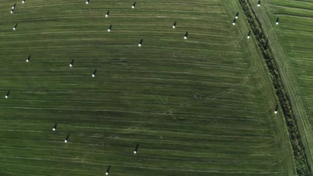 A zöld mező tetején szénakazalokkal. Lelőtték. Nagy zöld mező kerek szénakazalokkal. Gyönyörű betakarított mezők széna a vidéken. — Stock videók