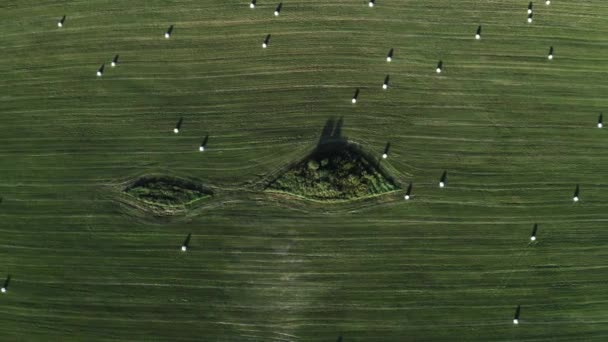 Haystacks no campo com grama verde. Hora do Outono. Vista aérea do drone — Vídeo de Stock