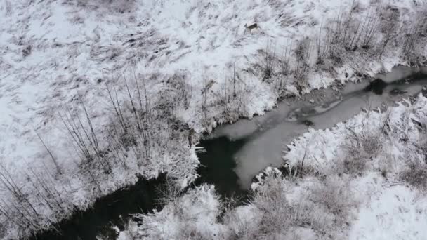 在雪地覆盖的农田上，空中鸟瞰着欧洲的鹿群，飞向水沟，穿过它. — 图库视频影像