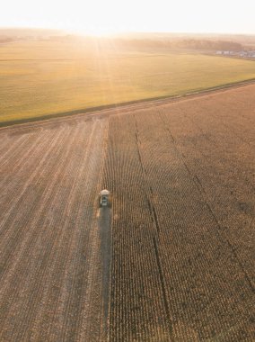 Bir mısır tarlasında hasatçıyı birleştirin Gün batımında, hava manzaralı