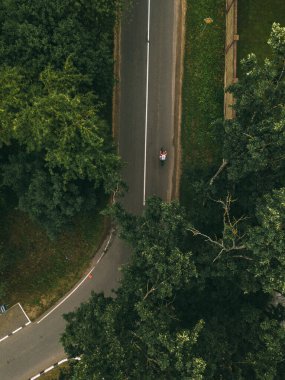 Koyu yeşil ormanın içinden geçen boş bir asfalt yolun eğrisi boyunca motosikletini süren kişinin üzerinde uçuyorlar..
