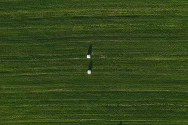 Beyaz samanlıklarla dolu yeşil seviye bir alan. Kırsal kesimde saman için biçilen güzel tarlalar. Tarım kavramı