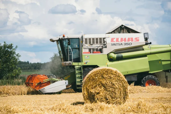 Beyaz Rusya. Minsk - Ağustos 2020. Traktor elinde balya ile ya da saman balyası ile tarlada
