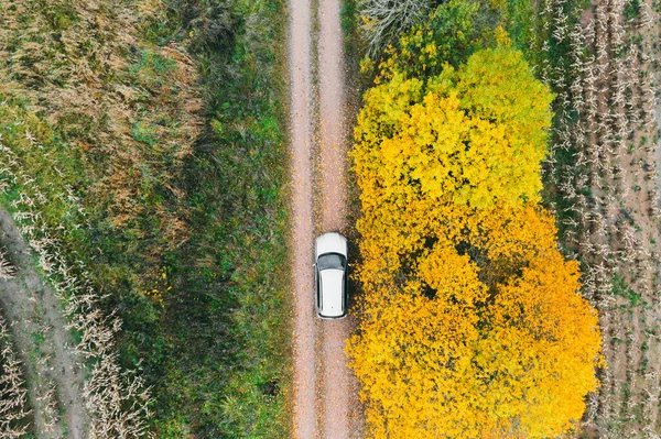 Вид з повітря на дорогу в осінньому лісі. Красивий краєвид з сільською дорогою, деревами з зеленим, червоним і помаранчевим листям. Фото безпілотника — стокове фото