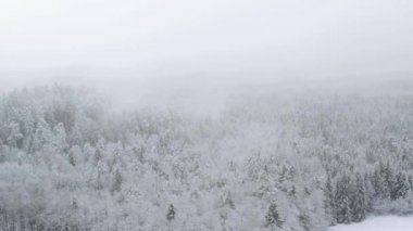 Kışın bulutların üzerinde karlı ormanın üzerinde uçan drone 'un görüntüsü.