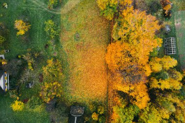 Hava görüntüsü. Sonbahar kırsal arazisi. Düşmüş yapraklar, ahşap evler..