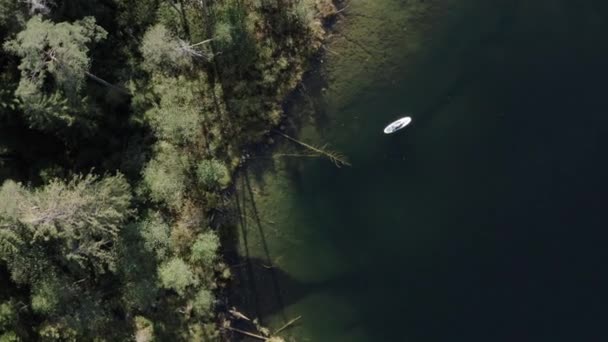 Водные аттракционы на доске. Берег озера, зеленый лес, поваленные деревья внизу. — стоковое видео