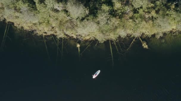 Paseos en agua en Sup Boarde. — Vídeo de stock