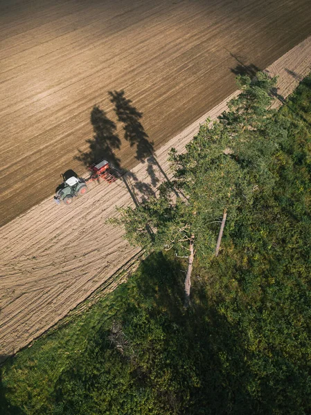Повітряний вигляд трактора ферми на полі під час оранки землі для вирощування їжі. Прекрасне світло заходу сонця, тіні дерев — стокове фото
