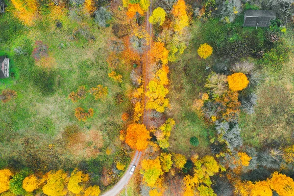 美丽的秋天森林中的空中风景.美丽的乡村风景，绿叶斑斓的树木. — 图库照片