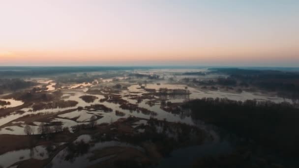 Luchtfoto: vliegen over een prachtige kronkelende rivier in een bosgebied voor zonsopgang. Een charmante zomerdageraad met een contrast van dagelijkse temperaturen en mist — Stockvideo