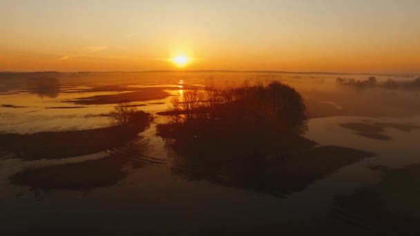 Luchtzicht: Vlucht over kronkelende rivier bij dageraad. Helder oranje zonlicht — Stockvideo