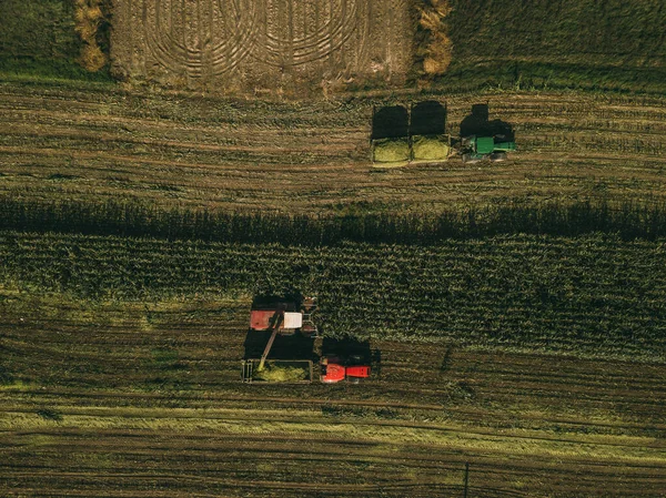 Machines die maïs oogsten in het veld. Dronenschot vanuit de lucht. — Stockfoto