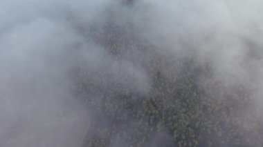 Sonbahar ormanlarında alçak bulutlar arasında uçuyor