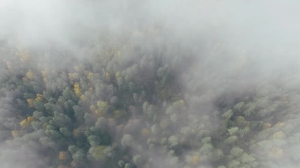 Πυκνά σύννεφα. Φθινοπωρινό τοπίο Πολύχρωμο δάσος. — Αρχείο Βίντεο