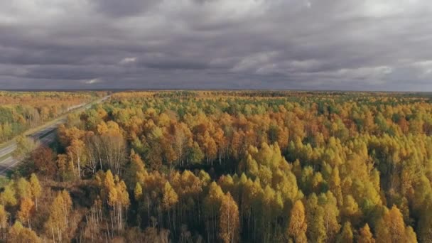 Widok z powietrza ruchliwej długiej prostej drogi przez kolorowy jesienny las o zachodzie słońca. — Wideo stockowe