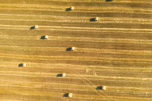 Zicht vanuit de lucht op gemaaid veld met verspreide hooibaalrollen — Stockfoto