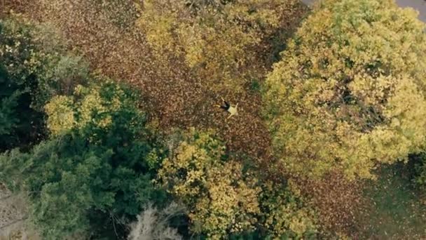 Dívka leží na jasném podzimním listoví a střílí z dronu. Podzimní koncept — Stock video