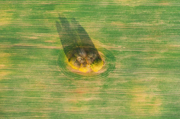Drone uitzicht op groen veld met schaduwen in de herfst — Stockfoto
