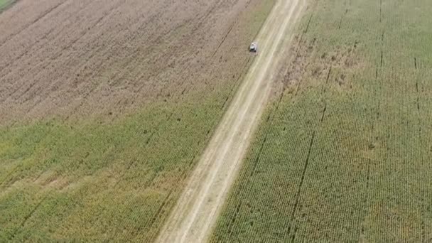 Воздушное видео, пролетающее над уборкой рапса на осеннем поле. Сбор урожая в облаке. Вид сверху с воздуха — стоковое видео