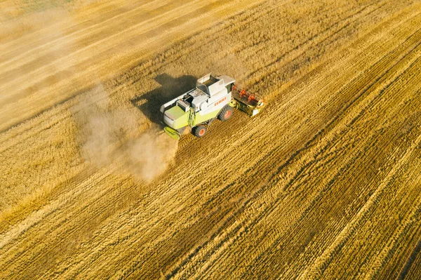 30 August 2020 A Claas lexion 570 Combine Harvester at work in a field in Belarus at the start of the autumn harvest. — Stock Photo, Image
