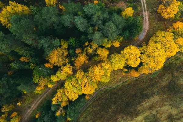 美丽的秋天。森林路。空中景观 — 图库照片
