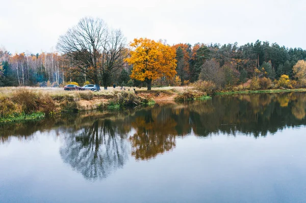 An old oaks tree on the shore lake of on autumn day. Picnic in nature — Stock Photo, Image