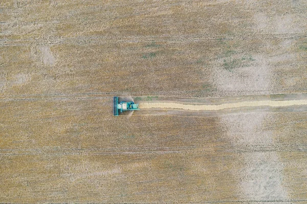 Combineer de oogstmachine die in het veld werkt. Landbouwmachine die tarwe oogst. Luchtzicht — Stockfoto