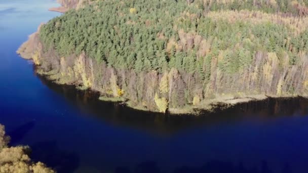 Forest and cury river in autumn. Aerial view of wildlife in Belarus, Europe — Stock Video