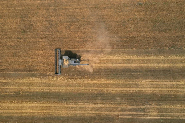 Nieuwe zwarte oogster op het tarweveld van bovenaf gezien. Oogsttijd. — Stockfoto