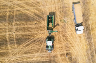 Traktör ve kamyon sahada. Güneşli bir günde buğday hasat etmek.