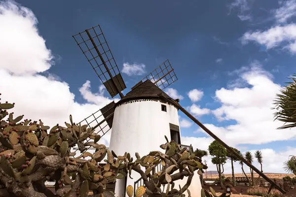 Windmills Island Fuerteventura Spain — Stock Photo, Image