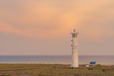 Morro Jable Matorral Deniz feneri Jandia, Fuerteventura Pajara, Kanarya Adaları.