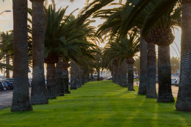 Morro Jable, Fuerteventura, İspanya: 2020 yazında İspanya 'nın Fuerteventura adasında COVID 19 Morro Jable zamanında park.