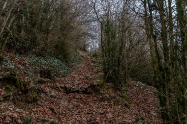 Montsegur 'daki Cathar şatosunun manzarası Ariege' de, Occitanie Fransa 'nın güneyinde..
