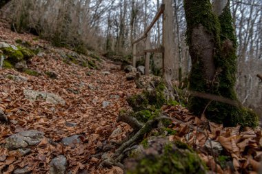 Montsegur 'daki Cathar şatosunun manzarası Ariege' de, Occitanie Fransa 'nın güneyinde..