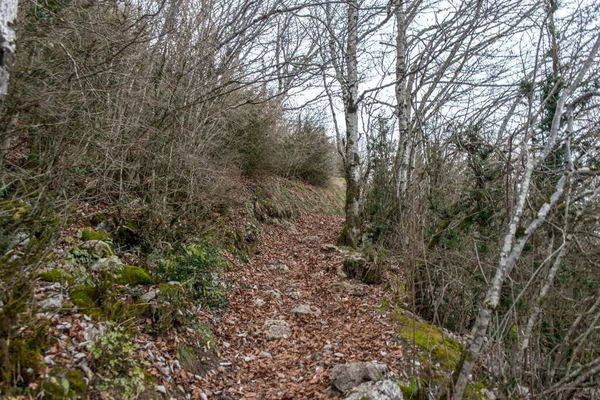 Landschaft Der Katharinenburg Montsegur Ariege Okzitanien Südfrankreich — Stockfoto