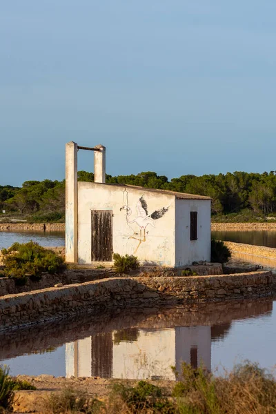 Природный Парк Ses Salines Острове Форментера Испании — стоковое фото