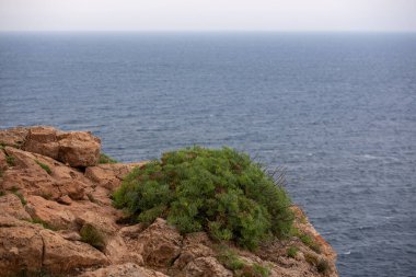 Cap de Barbaria, İspanya: 17 Haziran: İspanya 'nın Formentera adasındaki Cap de Barberia deniz fenerini gezen insanlar.