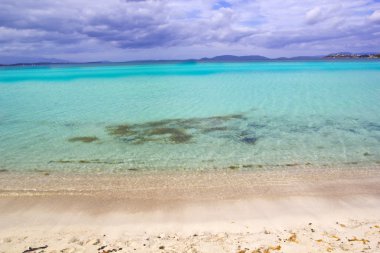 güzel bir plaj sahnesi