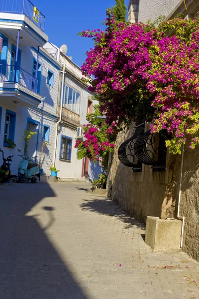Casas Coloridas Pedra Rua Estreita Alacati Cesme Izmir — Fotografia de Stock