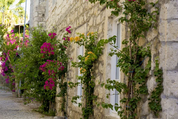 Kolorowe Kamienne Domy Wąskiej Uliczce Alacati Cesme Izmir — Zdjęcie stockowe